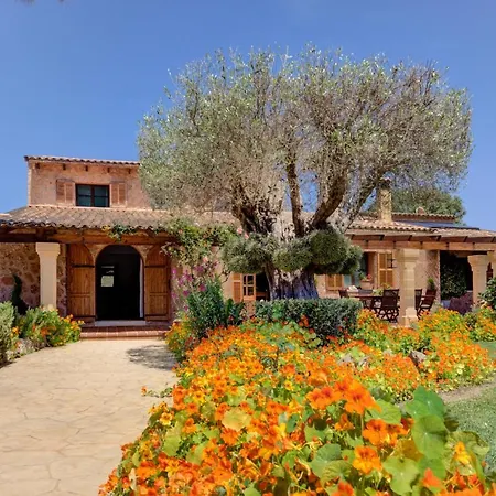Ses Contesas Villa